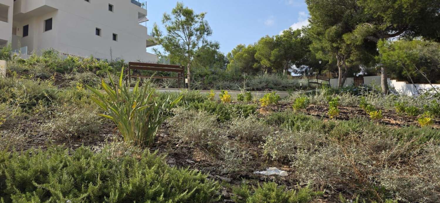 Jardín