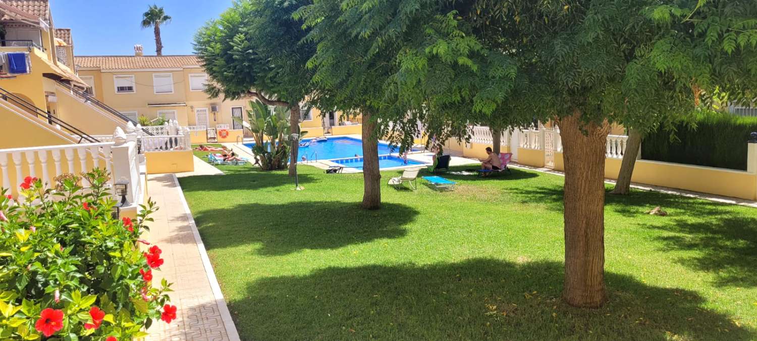 1 dormitorio Planta baja bungalow en alquiler con piscina