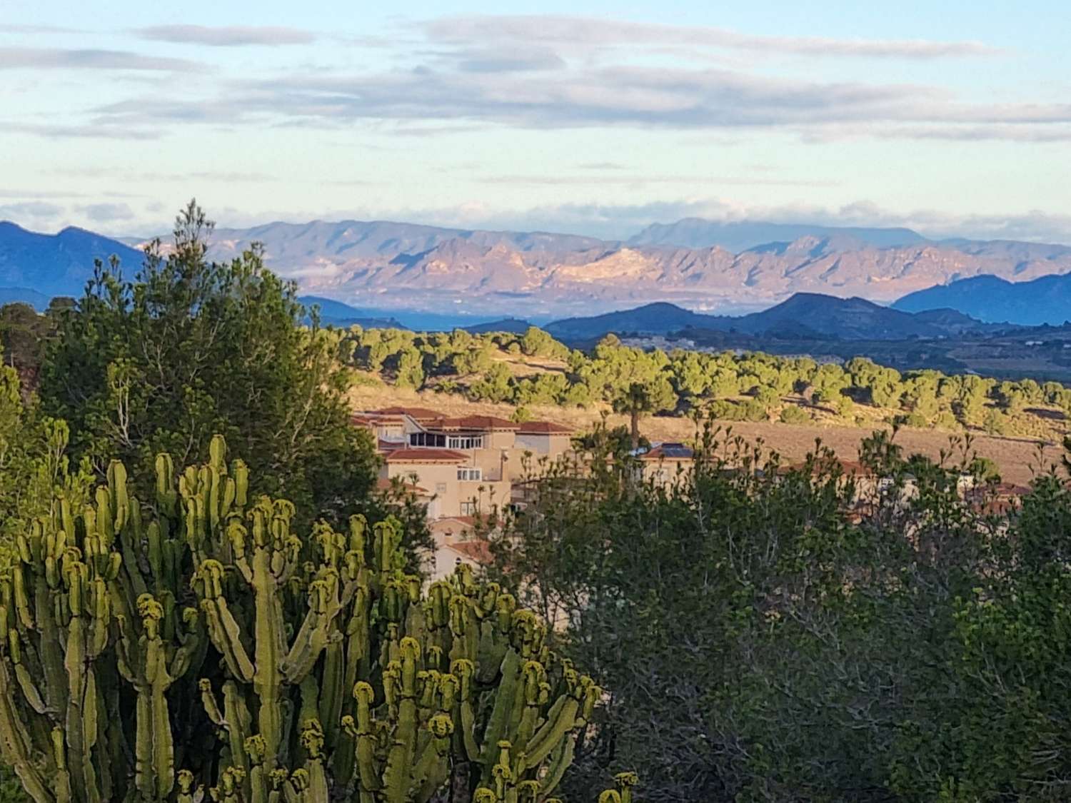 Villa de luxe avec 7 chambres à coucher et 2000 m² de terrain à San Miguel de Salinas